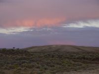 Desert Sunset